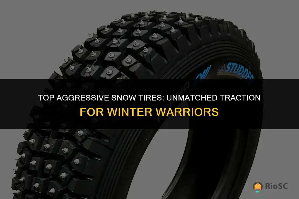 best aggressive snow tires
