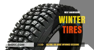 Top Aggressive Winter Tires: Unmatched Traction and Control for Snowy Roads
