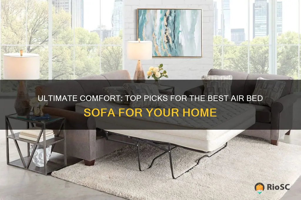 best air bed sofa