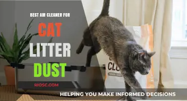 Effective Air Purifiers to Eliminate Cat Litter Dust and Improve Indoor Air Quality
