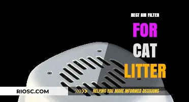 Top Air Filters to Eliminate Cat Litter Odors and Improve Indoor Air Quality