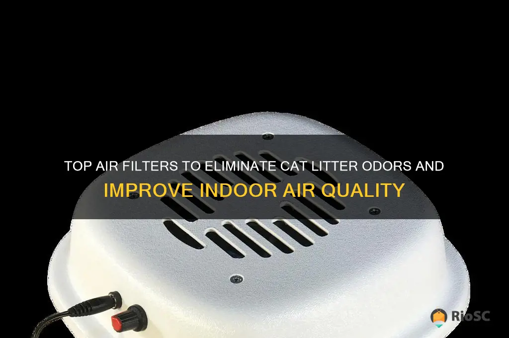 best air filter for cat litter