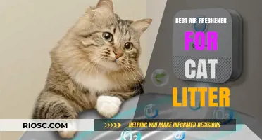 Freshen Up Your Home: Top Air Freshener Solutions for Cat Litter Odors