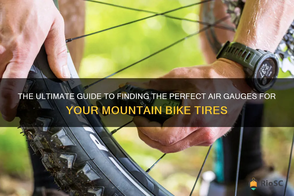 best air gauges for mountain bike tires