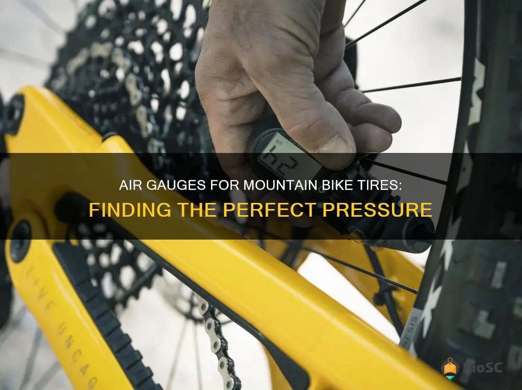 best air gauges for mountain bike tires