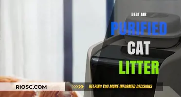 Top Air-Purifying Cat Litter Options for a Fresher, Healthier Home