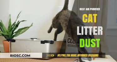 Top Air Purifiers to Eliminate Cat Litter Dust: Breathe Easier in Your Home