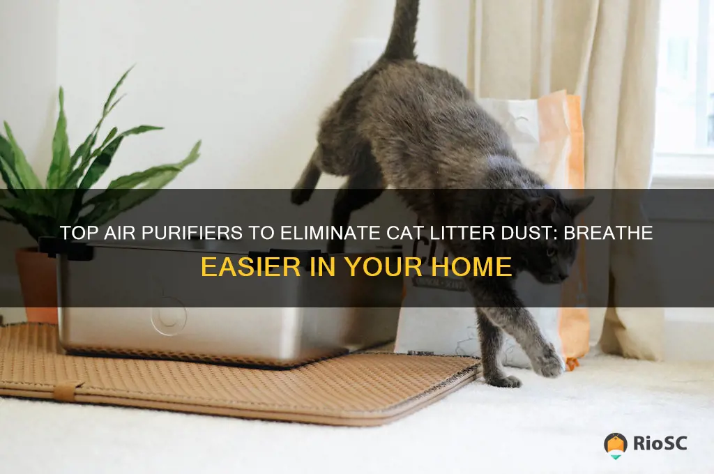 best air purifier cat litter dust