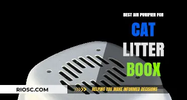 Top Air Purifiers to Eliminate Cat Litter Box Odors and Improve Indoor Air Quality