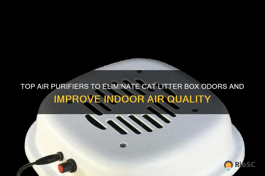 best air purifier for cat litter boox