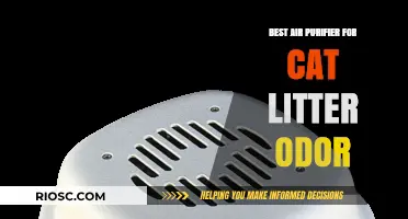 Eliminate Cat Litter Smells: Top Air Purifier Solutions for Fresh Indoor Air