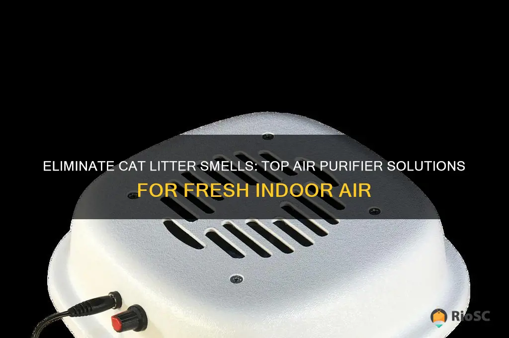 best air purifier for cat litter odor