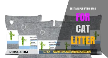 Top Air Purifying Bags to Eliminate Cat Litter Odors and Freshen Your Home