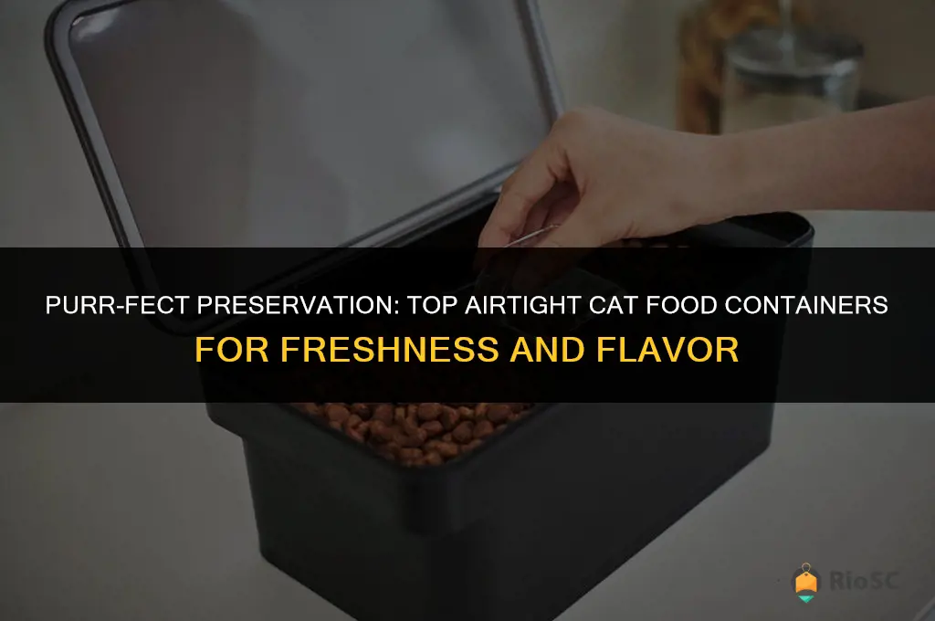 best air tight cat food containers