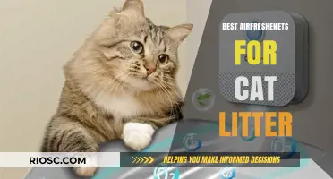 Freshen Up Your Space: Top Air Fresheners to Combat Cat Litter Odors
