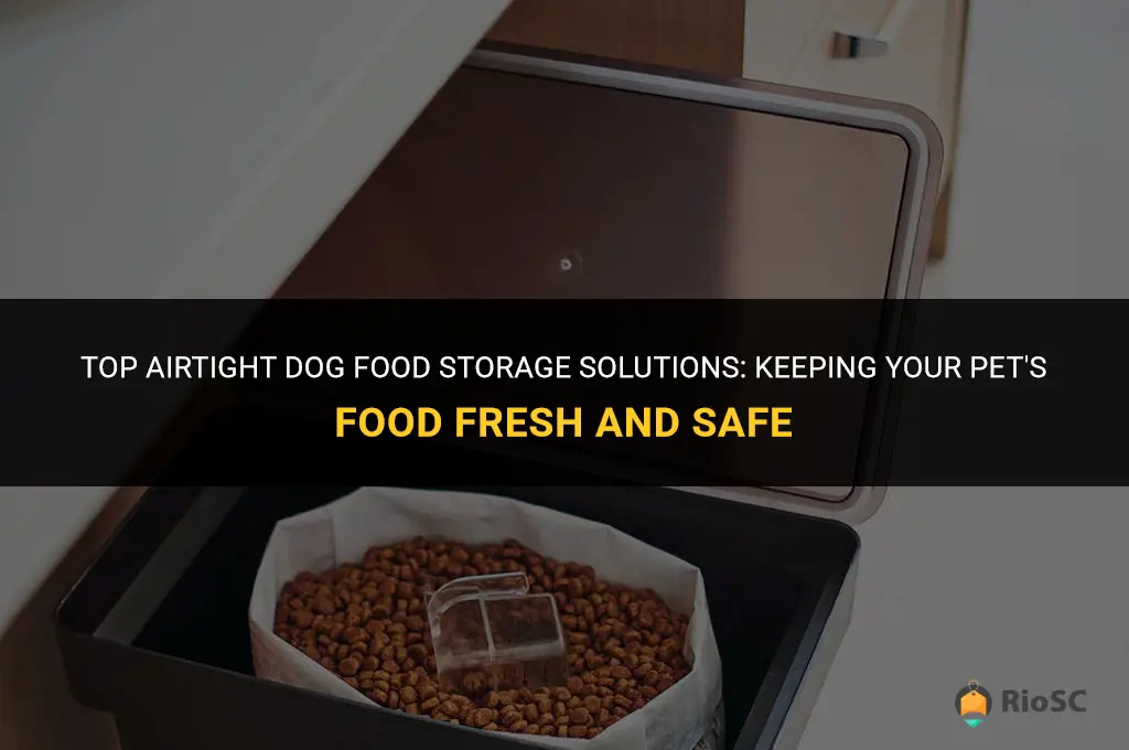 best airtight dog food storage