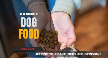 Top Picks for Allergy-Friendly Dog Food: A Comprehensive Guide