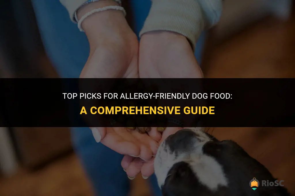 best alergentic dog food