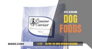 Top Alkaline Dog Foods: Nourishing Your Pet with pH-Balanced Nutrition