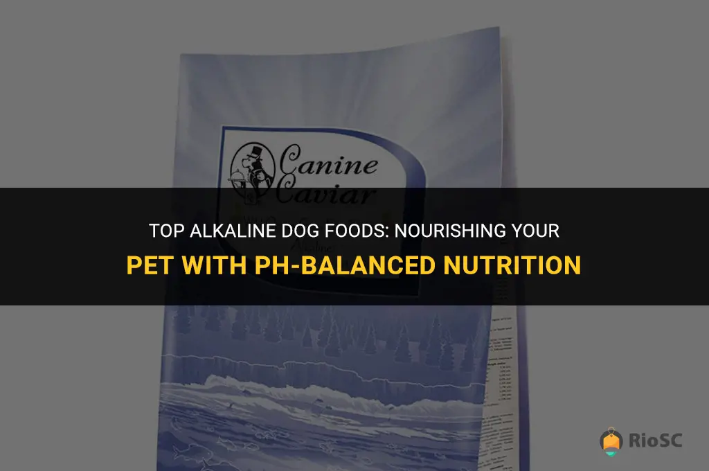 best alkalind dog foods
