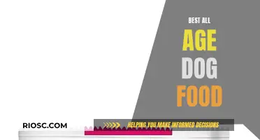 Nutrition for Every Stage: The Ultimate Guide to All-Age Dog Food