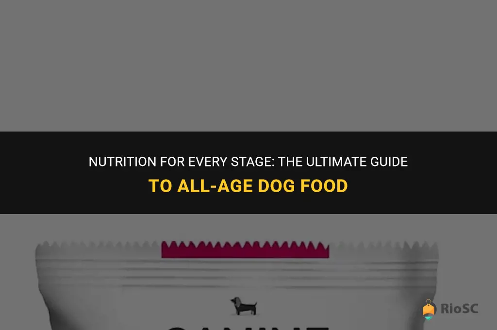 best all age dog food