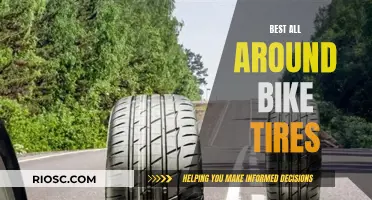 The Ultimate Guide to All-Round Excellence: Top Bike Tires for Every Adventure