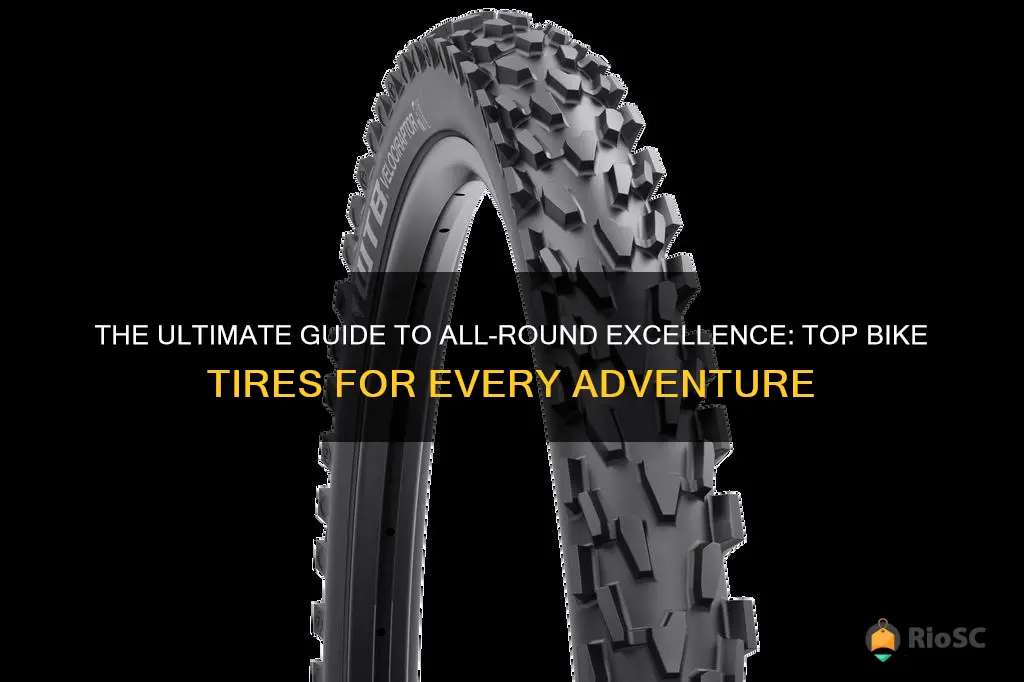 best all around bike tires