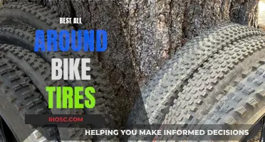 The Ultimate All-Around Bike Tire Roundup