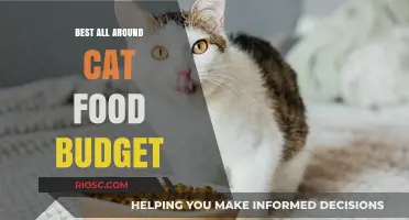 Affordable Excellence: The Ultimate Guide to Budget-Friendly All-Around Cat Food