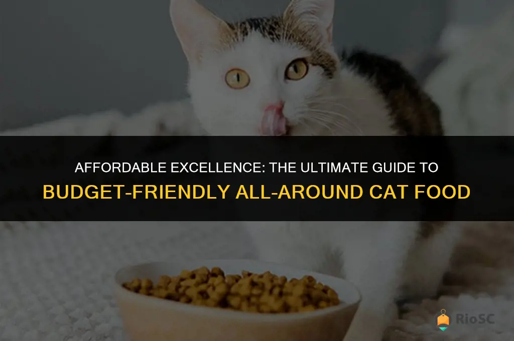 best all around cat food budget