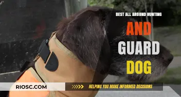 Top Breeds for Hunting and Guarding: The Ultimate All-Around Canine Companions