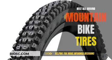 The Ultimate Guide to All-Mountain Bike Tires: Finding the Perfect Balance