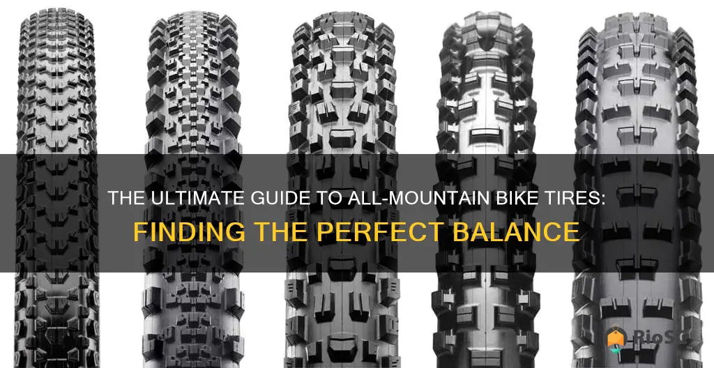 best all around mountain bike tires