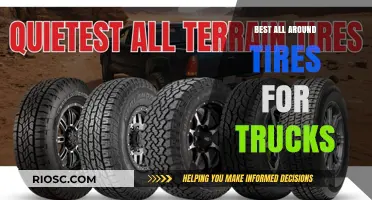 Top-Rated All-Around Truck Tires: Durability, Performance, and Value Combined