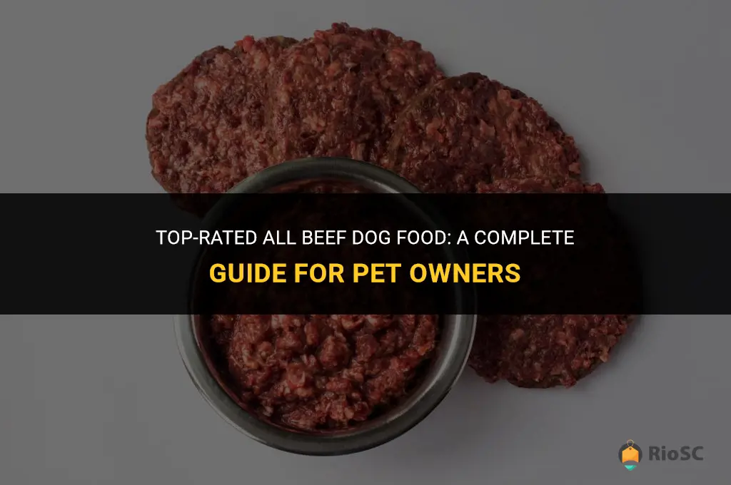 best all beef dog food