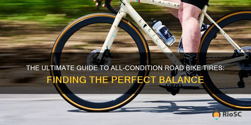 best all condition road bike tires