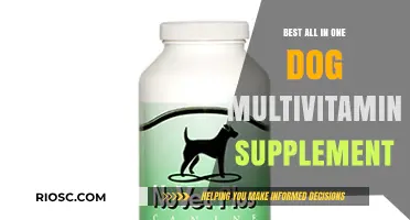 Top-Rated All-in-One Dog Multivitamin Supplements for Optimal Canine Health