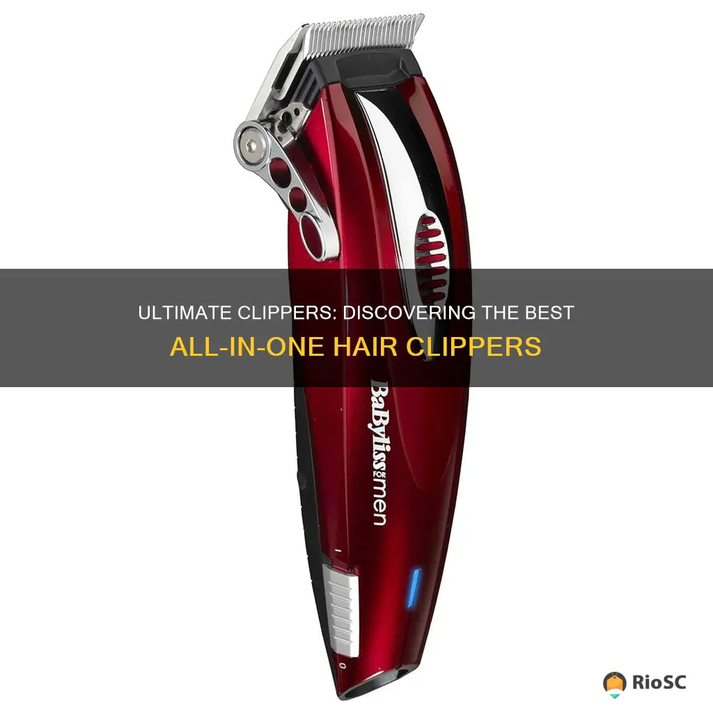 best all in one hair clippers