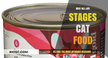 Nourishing Your Feline Companion: The Ultimate Guide to All Life Stages Cat Food