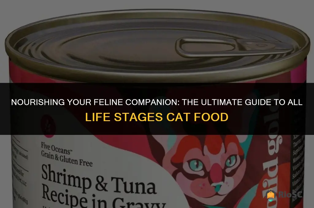 best all life stages cat food