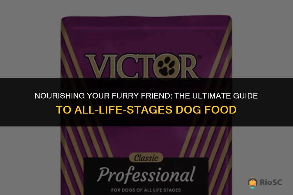 best all life stages dog food