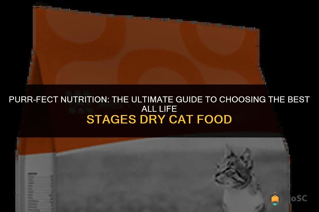 best all life stages dry cat food