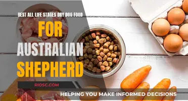 Nourishing Your Australian Shepherd: Top Dry Dog Food Picks for All Life Stages