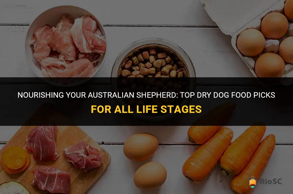 best all life stages dry dog food for australian shepherd