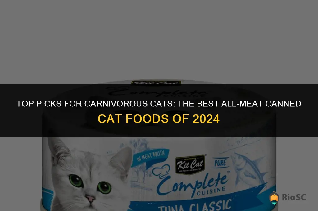 best all meat canned cat food