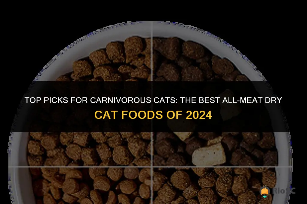 best all meat dry cat food