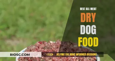Top Picks for All-Meat Dry Dog Food: A Comprehensive Guide for Pet Owners