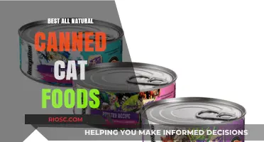Wholesome Meals for Your Feline Friend: Top Picks for All-Natural Canned Cat Foods