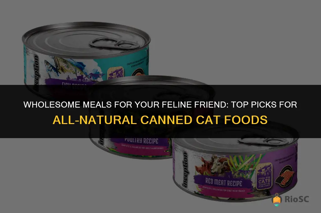 best all natural canned cat foods
